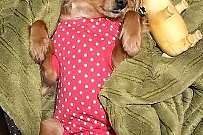 Prześliczna, maluśka Miszka :)