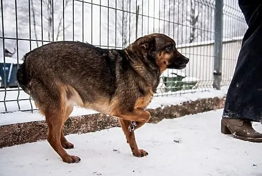 Mała Żaba dość ma już schroniska...