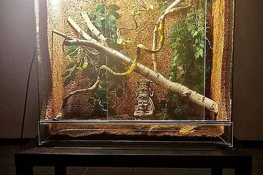 Sprzedam Terrarium szklane 80 × 39,6 × 85 cm + 2 lampy UVB