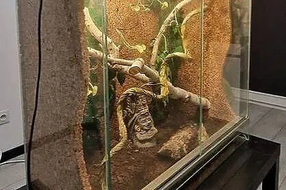 Sprzedam Terrarium szklane 80 × 39,6 × 85 cm + 2 lampy UVB, Pomorskie, Gdańsk