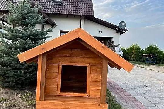 Ocieplana (styropian 5cm) Buda Dla Psa Z Przedsionkiem 140cm x 80cm, Wielkopolskie, Witkowo
