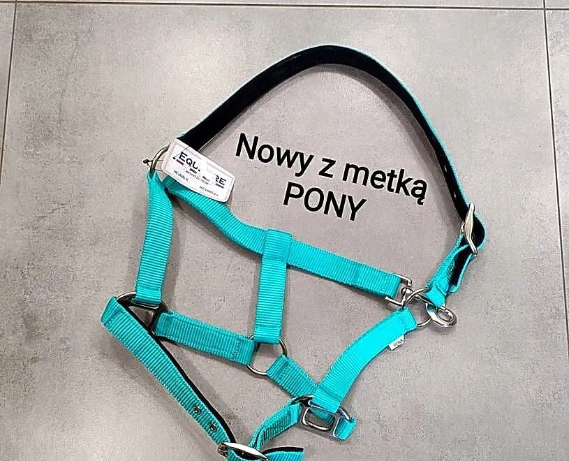 Nowy z metką kantar PONY z podszyciem, turkusowy, Małopolskie, Jasień