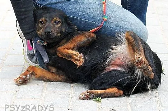 FREJA młodziutka kruszynka do pokochania od zaraz