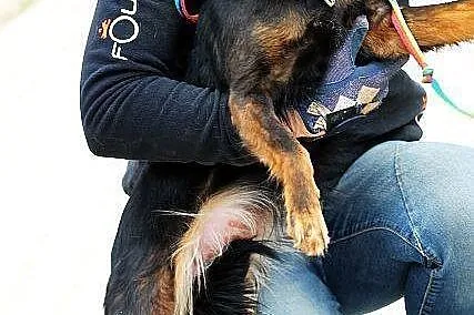 FREJA młodziutka kruszynka do pokochania od zaraz