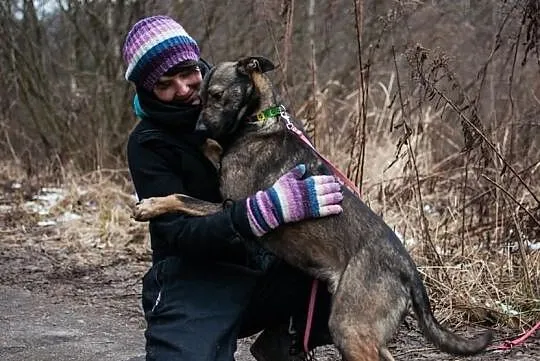 3 letni uroczy chłopak do adopcji :) pokochaj Bern