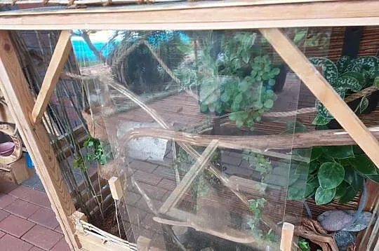 Terrarium zewnętrzne całoroczne dla żółwia,kameleona, Opolskie, Opole