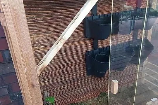 Terrarium zewnętrzne całoroczne dla żółwia,kameleona, Opolskie, Opole