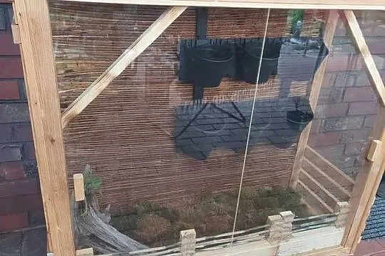 Terrarium zewnętrzne całoroczne dla żółwia,kameleona, Opolskie, Opole