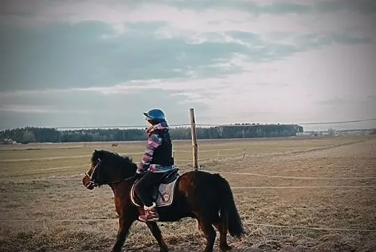 Sprzedam kuca, , Raciąż
