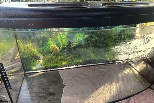 Sprzedam akwarium 120 litrów, Wielkopolskie, Działyń