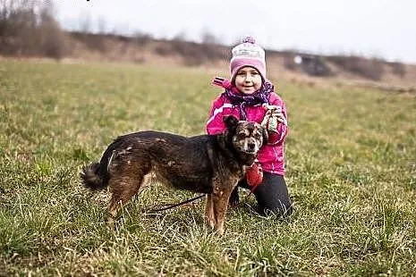 Gris pokochaj, ocal, adoptuj,  dolnośląskie Jeleni
