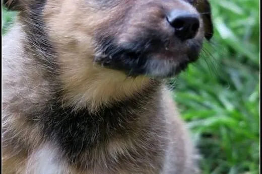 Ok. 7tyg. kochane siostry Łacia i Wilka czekają na