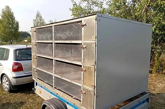 Kabina do transportu gołębi, Łódzkie, Bełchatów