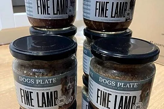 26 Dogs Plate – różne smaki