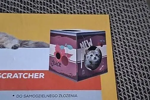 Drapak domek dla kota tekturowy kocimiętka, Śląskie, Bytom