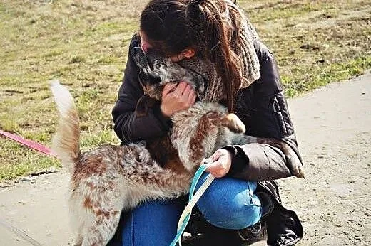 Piegusek kochany,młodziutki, smutny psiak.,  podka