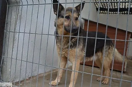 Pokochaj Sonię i pozwól jej pokochać siebie