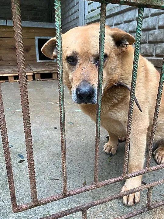 PILNE! On też chce być kochanym i kochać kogoś! Ze