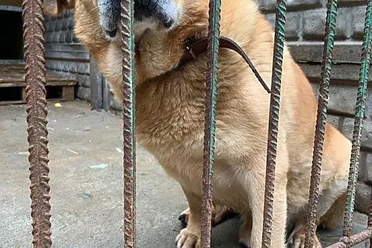 PILNE! On też chce być kochanym i kochać kogoś! Ze