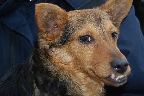 Malutki, porzucony Mikuś do adopcji,  mazowieckie 
