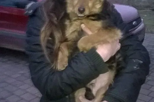 Malutki, porzucony Mikuś do adopcji,  mazowieckie 