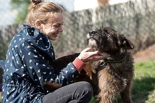 Londi psia jedynaczka poleca sie do adopcji,  doln