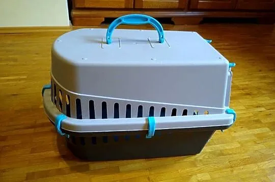 Transporter dla kota
