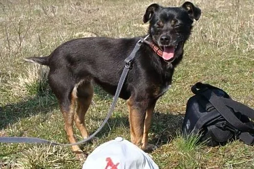 Pinia - drobniutka, delikatna 5 kg kruszynka urato