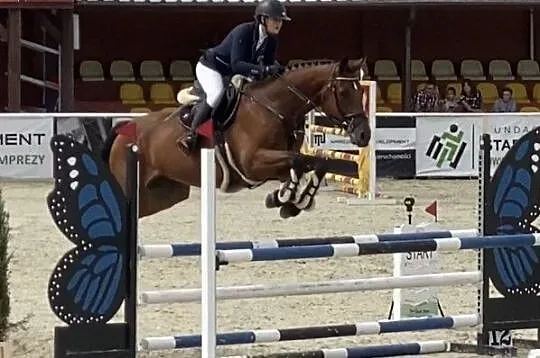 Sprzedam klacz, , Hejdyk