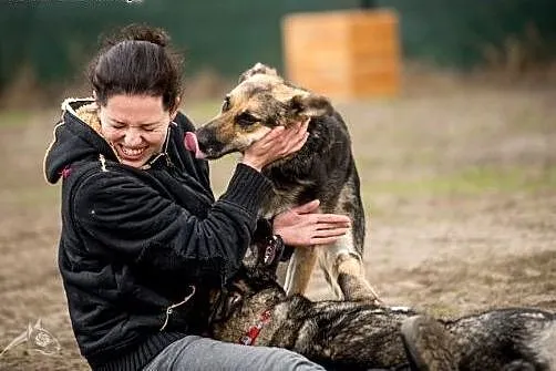 Leo - pies i do tańca i do różańca, a najchętniej 