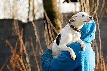 Piękna Coco szuka Ciebie,  Kundelki cała Polska