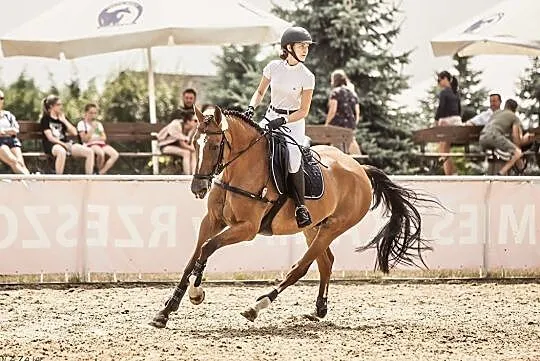 Bezpieczna klacz do sportu, , 