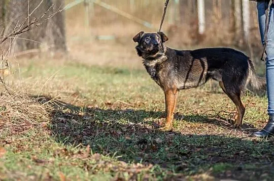 Spokojny, grzeczny Peri, 3 letni młodzieniec do po