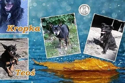 TEOŚ I KROPKA -2 serca bijące tym samym rytmem,  ł