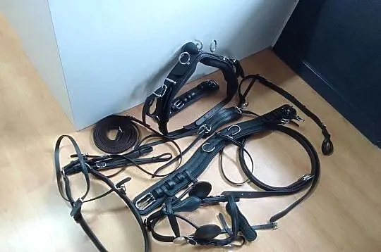 Uprząż szory biothan singiel cob pony shetty