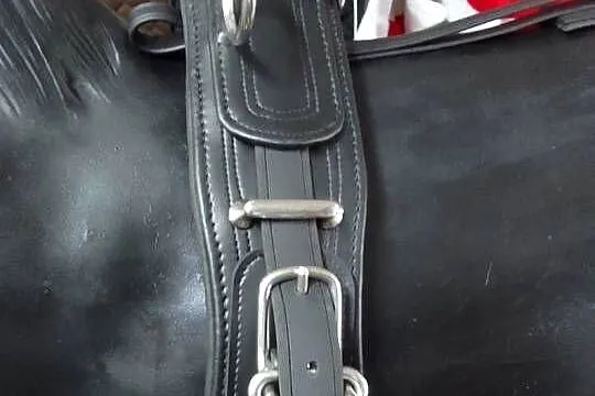 Uprząż szory biothan singiel cob pony shetty, Śląskie, Pietrowice Wielkie