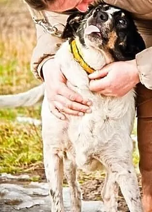 Może już niedługo Twoja Gaja- adoptuj!