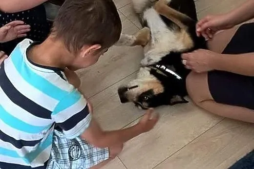 Franio, najbiedniejszy z biednych. Zabrany w nocy 