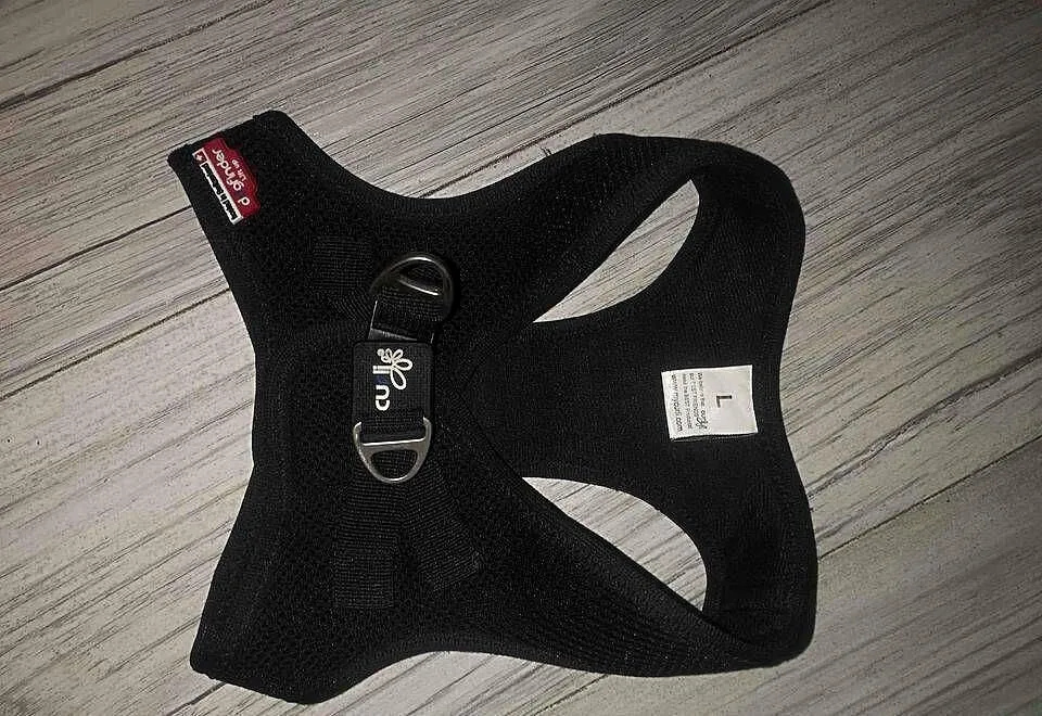 czarne szelki, czarna obroża Curli Vest Harness Air-Mesh Dog, Małopolskie, Kraków