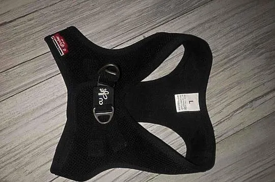 czarne szelki, czarna obroża Curli Vest Harness Air-Mesh Dog, Małopolskie, Kraków