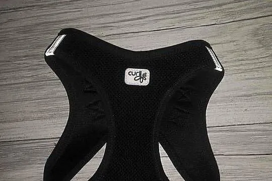 czarne szelki, czarna obroża Curli Vest Harness Air-Mesh Dog, Małopolskie, Kraków