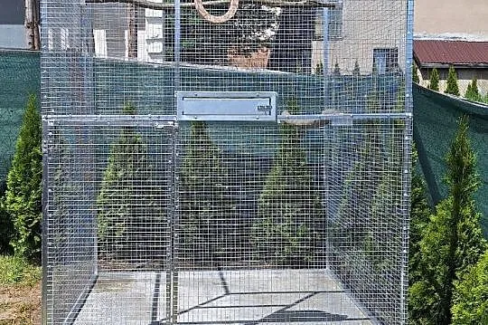 Woliera na wymiar ., Śląskie, Bujaków