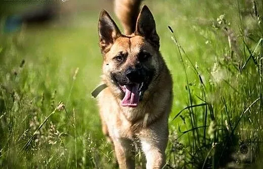 Lunes zapewni Ci radość każdego dnia, lubelskie L