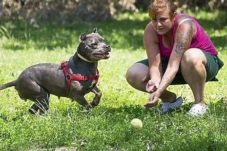 Wyjątkowa, proludzka HELENKA do adopcji.,  mazowie