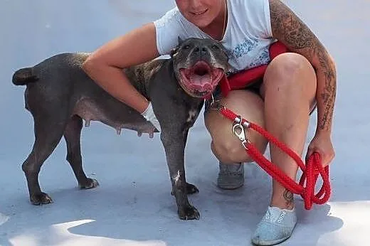 Wyjątkowa, proludzka HELENKA do adopcji.,  mazowie