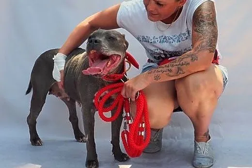 Wyjątkowa, proludzka HELENKA do adopcji.,  mazowie
