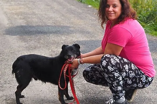 Arni-niewielki, czarny pies kochający ludzi i zaba, Kłomnice