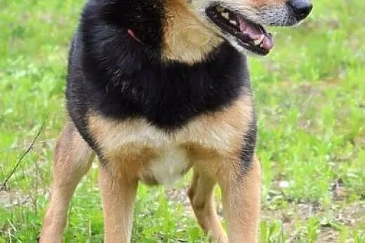 Jaga-Przylepka :),  warmińsko-mazurskie Olsztyn