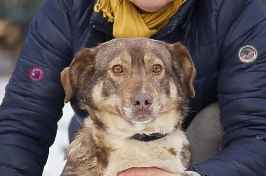 Emma, niewielka, młodziutka, wpatrzona w człowieka
