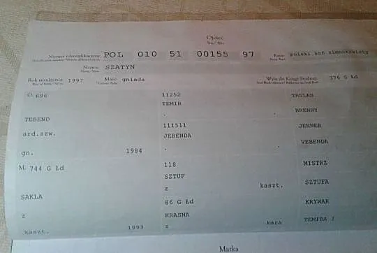 Stanówka ogierem Walet, , Brzózki